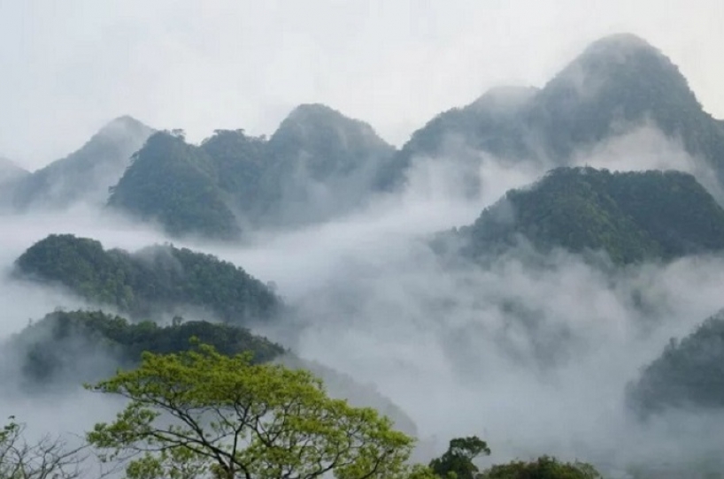 Trekking - Chinh phục đỉnh Mây Bạc - Jungle Camp | Umove Adventure